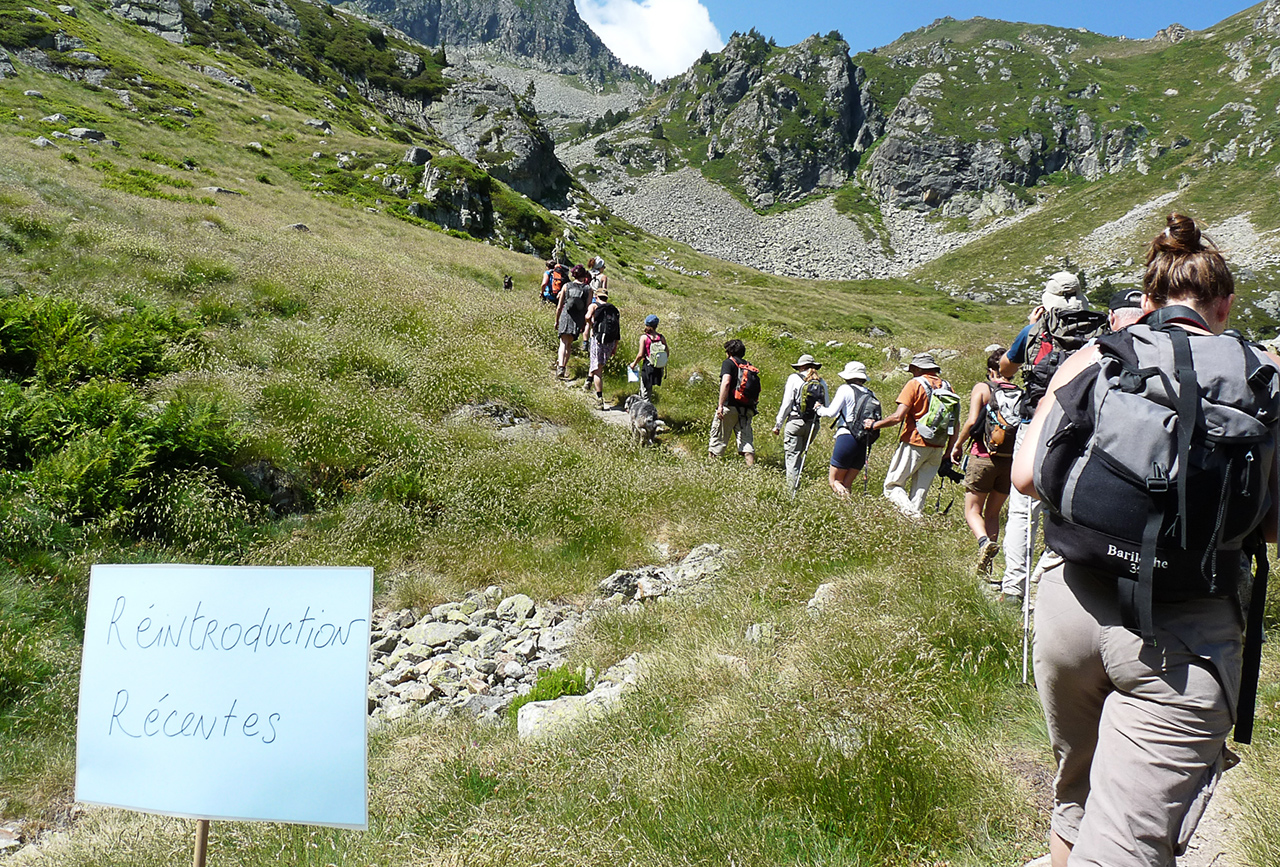 La montagne ça vous soigne !